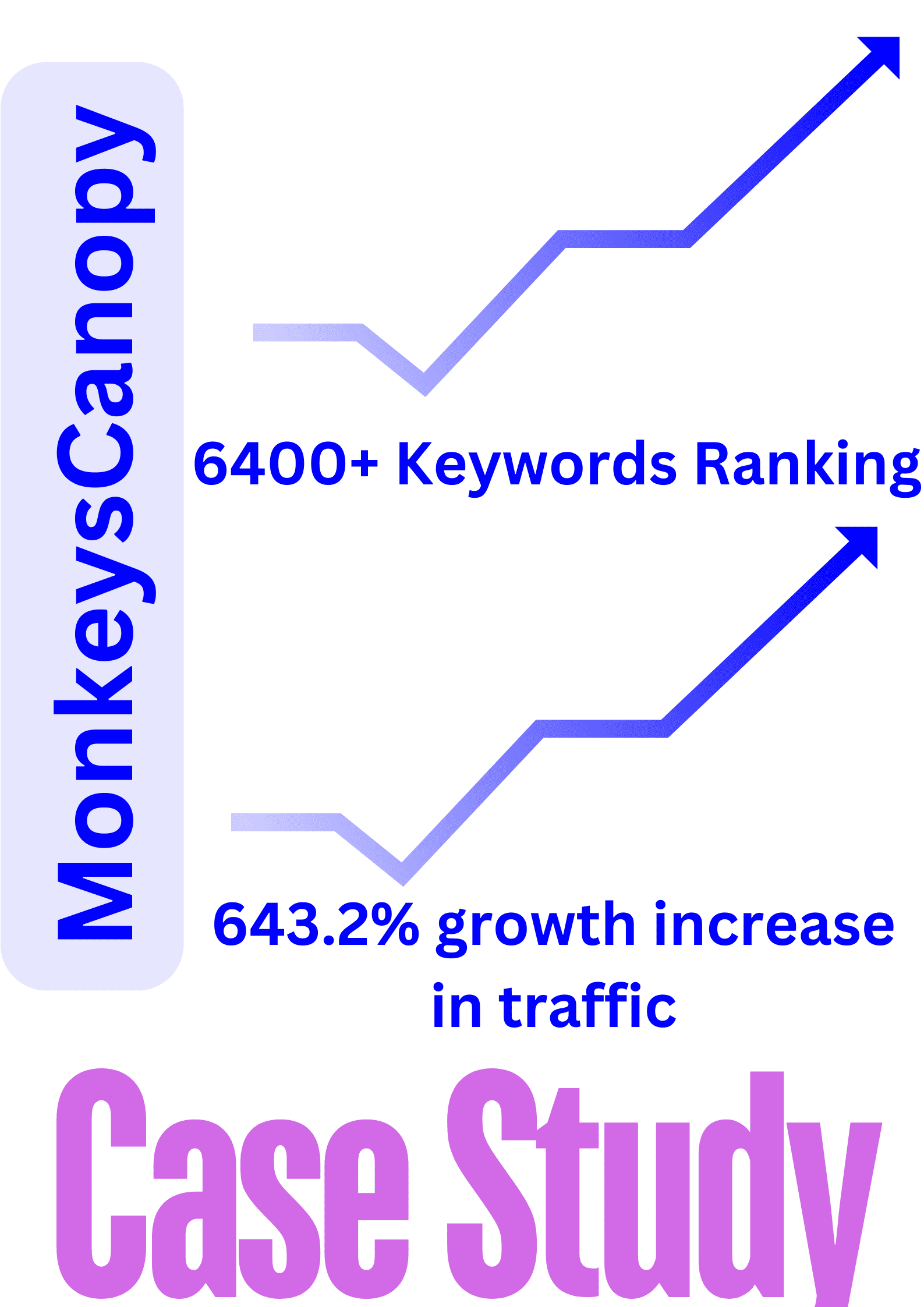 Case Study 5